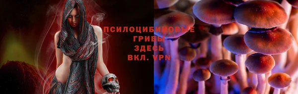 кокаин премиум Верея