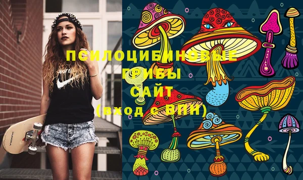 MDMA Premium VHQ Новодвинск