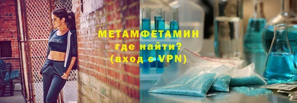 индика Новозыбков